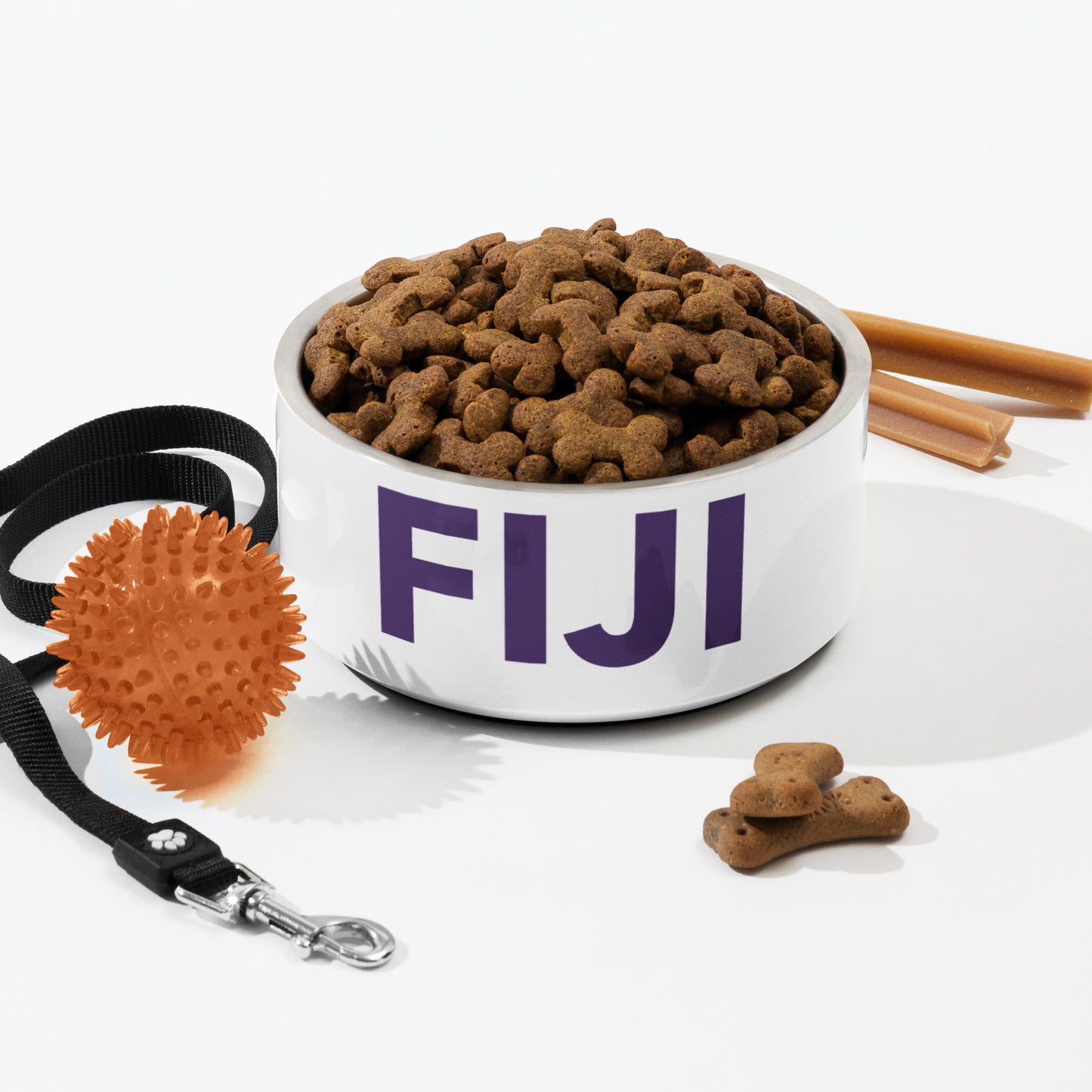 FIJI Pet bowl